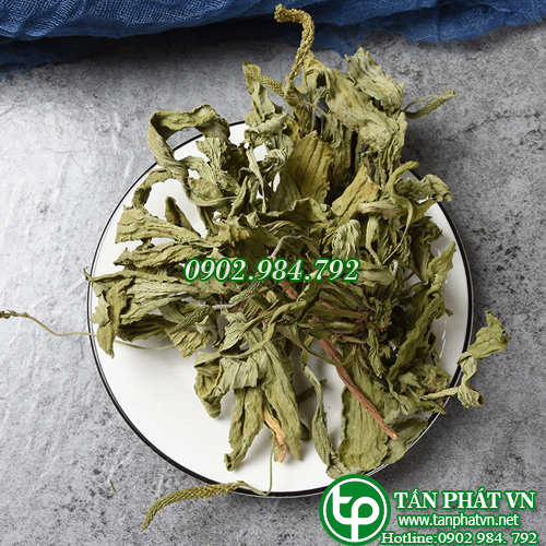 Cây mã đề khô 500g - Dược Tấn Phát