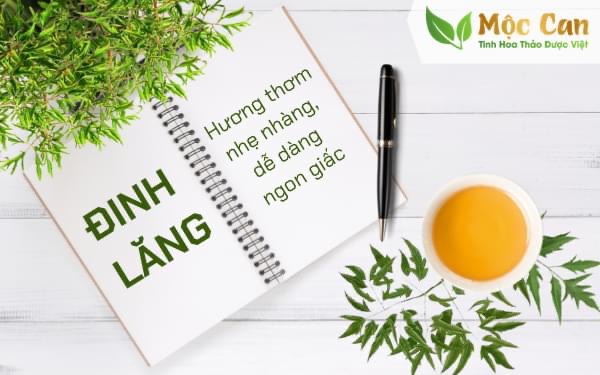 Combo 3 hộp Trà đinh lăng Mộc Can hộp 25 túi lọc