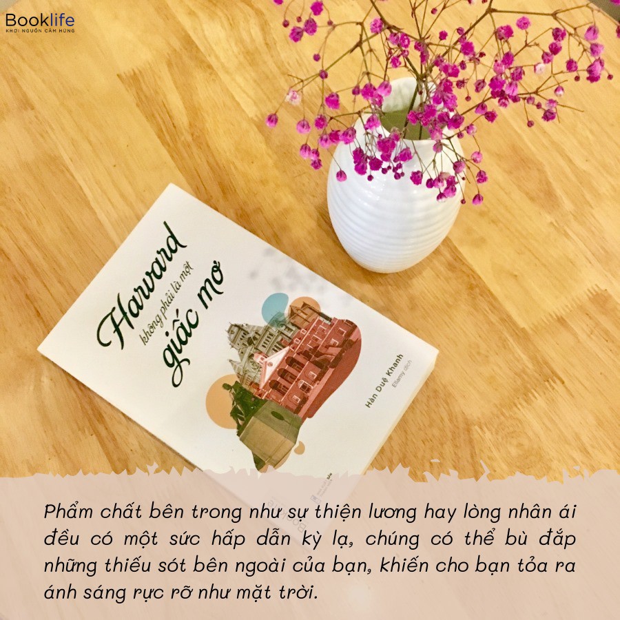 Sách - Harvard Không Phải Là Một Giấc Mơ