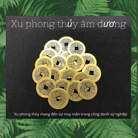 Combo 10 đồng xu cổ phong thủy âm dương bằng đồng