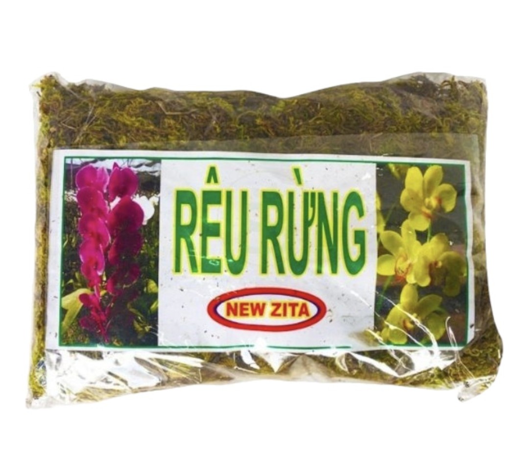 Rêu rừng trồng lan ghép lan