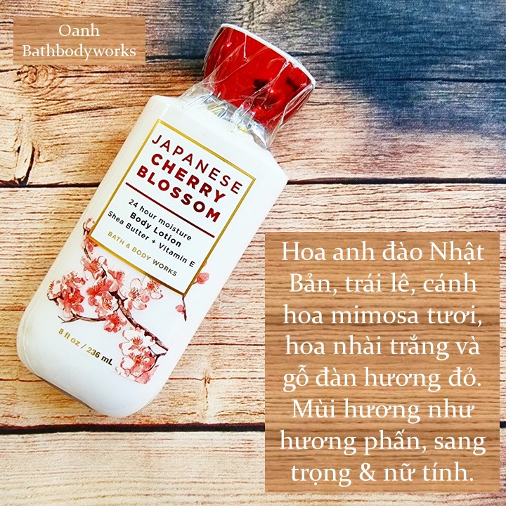 Bộ sản phẩm Japanese Cherry Blossom BBW