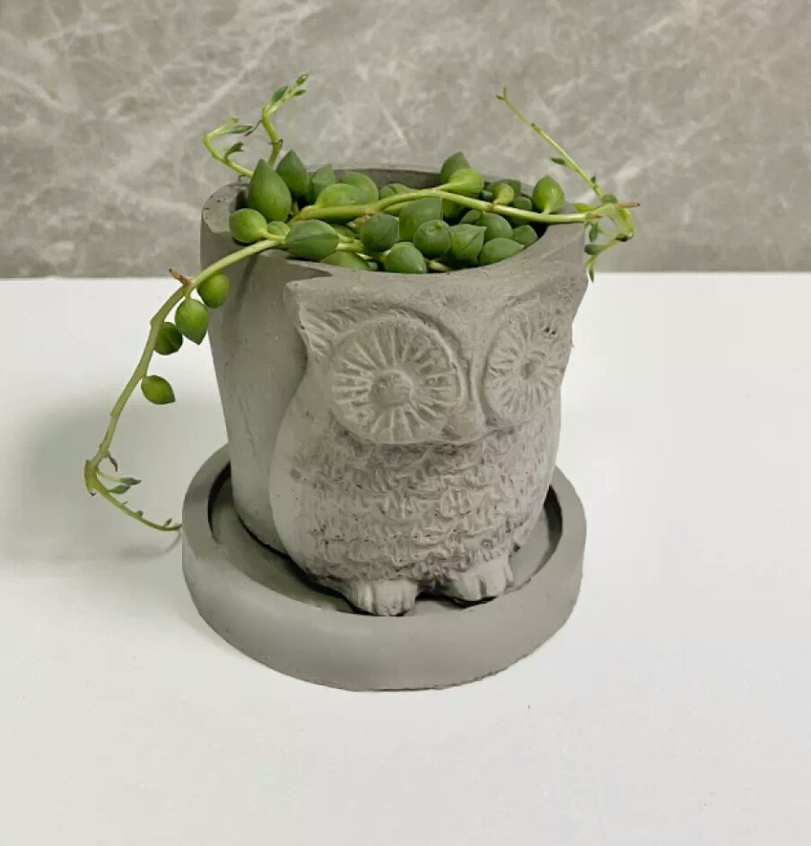 Combo chậu xi măng trắng hoặc xám trồng xương rồng,sen đá...