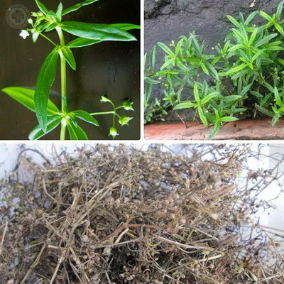 Bạch hoa xà 500g