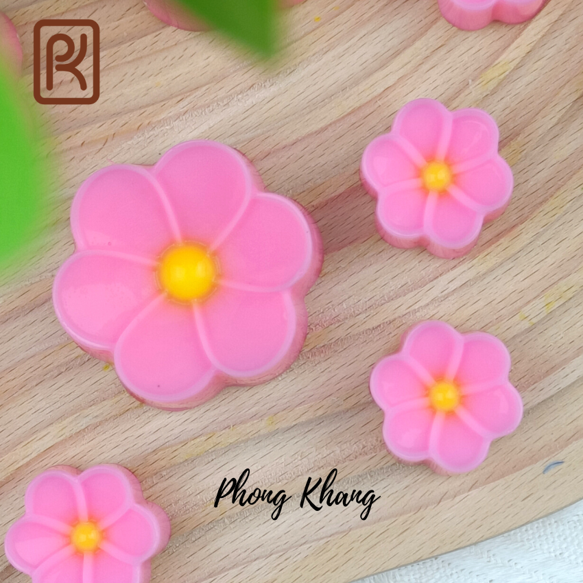 Combo 12 khuôn silicon ( 6 khuôn 5cm-6 khuôn 3cm) Phong Khang hình hoa sứ