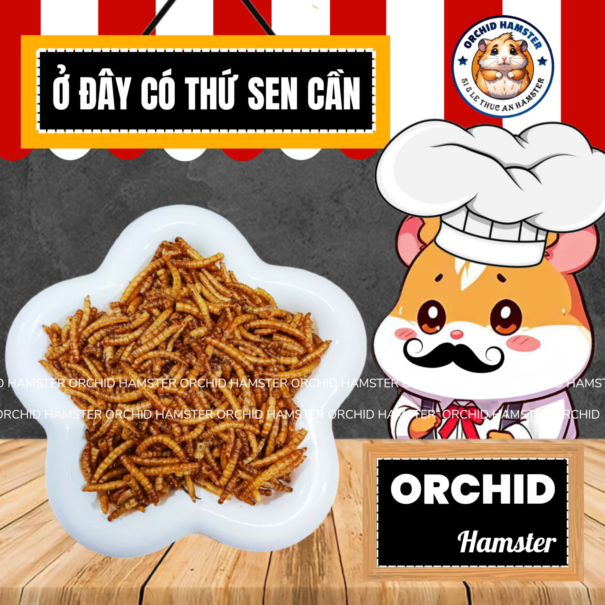 Sâu Sấy Hamster/Sóc/Nhím Giúp Bổ Sung Canxi - Protein - Đạm Mỗi Ngày