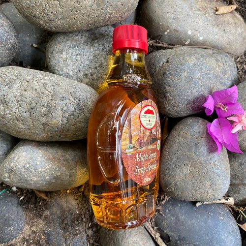 SI RÔ HỮU CƠ LÁ PHONG - ORGANIC MAPLE SYRUP 250ml - echo mountain maple
