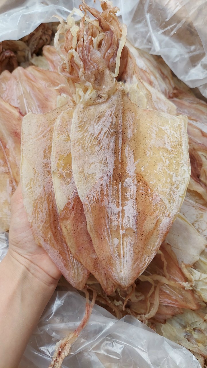 Khô Mực Câu 40-42Con/Kg
