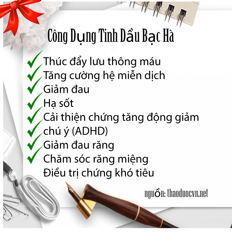 [HOT] Tinh Dầu Bạc Hà Nguyên Chất 20ml - Tấn Phát
