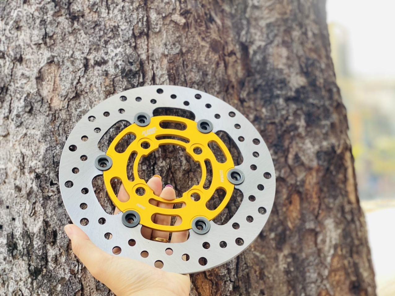 Đĩa thắng KingSpeed Moto 3 size 220mm 4 lỗ