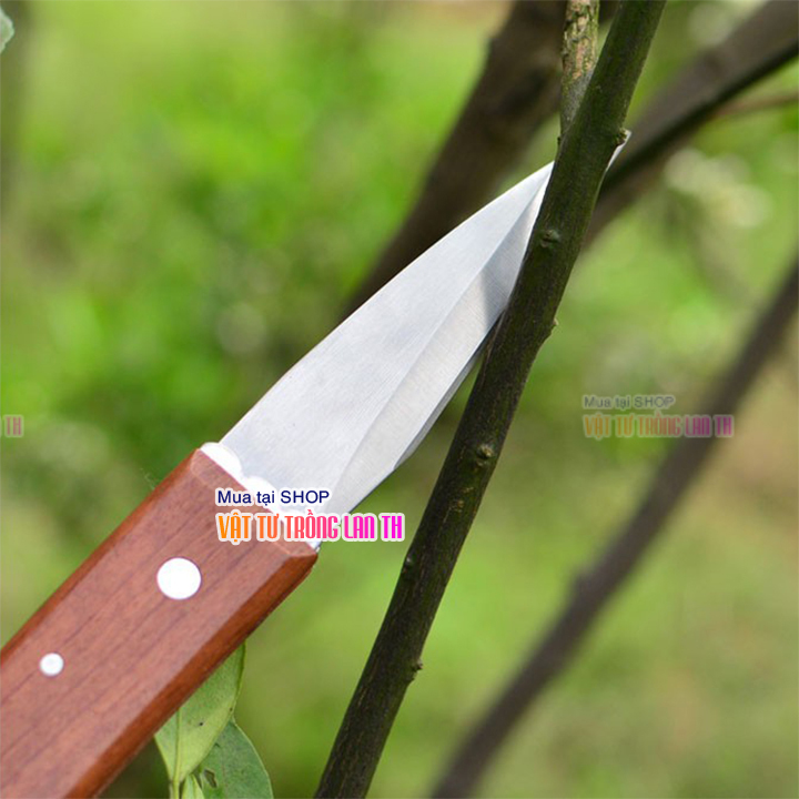 Dao ghép cán gấp mũi nhọn lưỡi thép