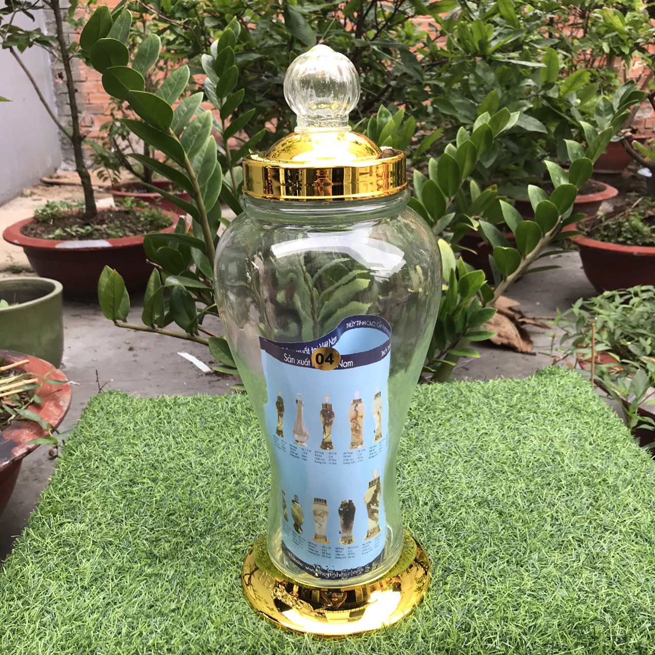 BÌNH NGÂM RƯƠU SÂM THỦY TINH  Phú Hoà 4 LÍT KHÔNG VAN