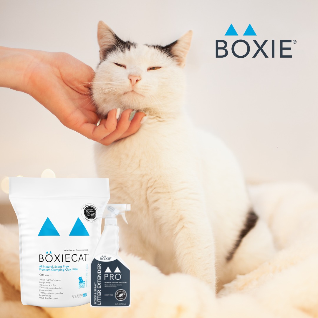 [Hcm] Boxiecat Litter Cat Litter Made in the Us