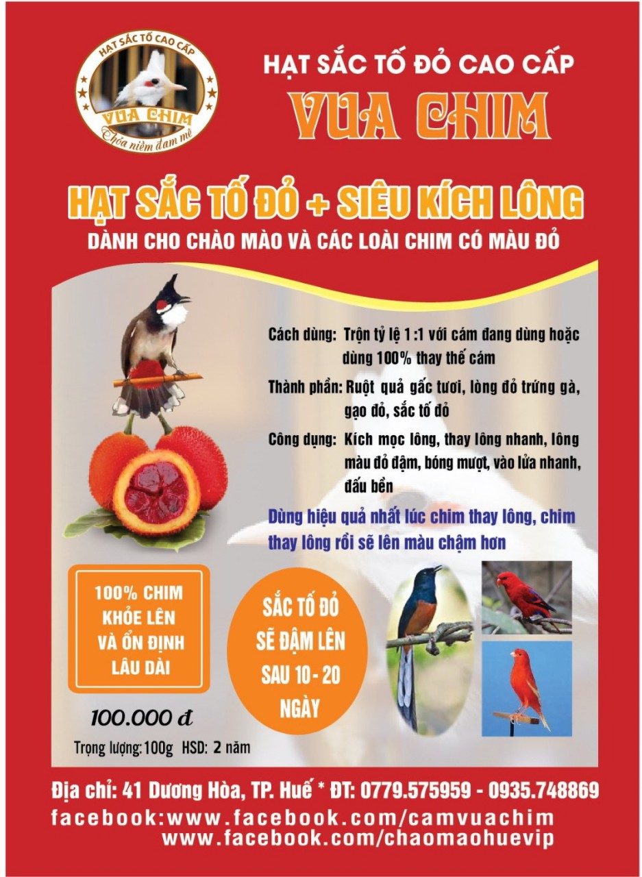 Kích đỏ cho chào mào