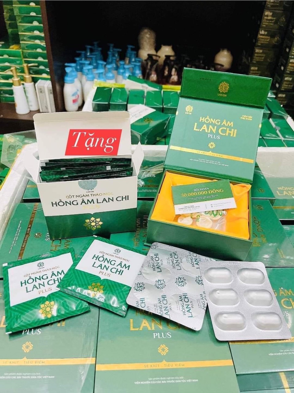 Combo hộp12 kén hồng âm tiêu viêm lan chi plus chính hãng