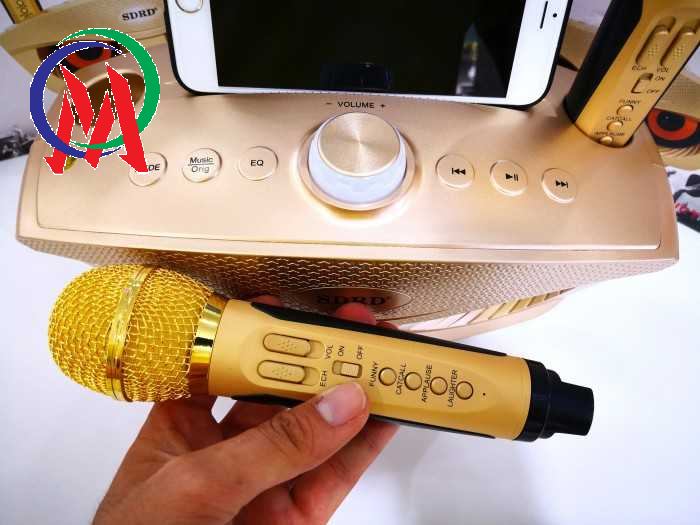 [HCM]LOA KARAOKE SD-306 KÈM 2 MIC KHÔNG DÂY