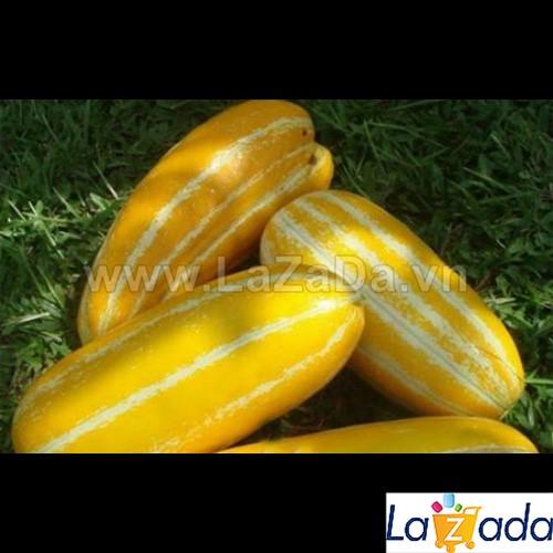 [HCM]BỘ 5GÓI 1Gr Hạt Giống Dưa Gang Truyền Thống (B3.402| Z22*V43)