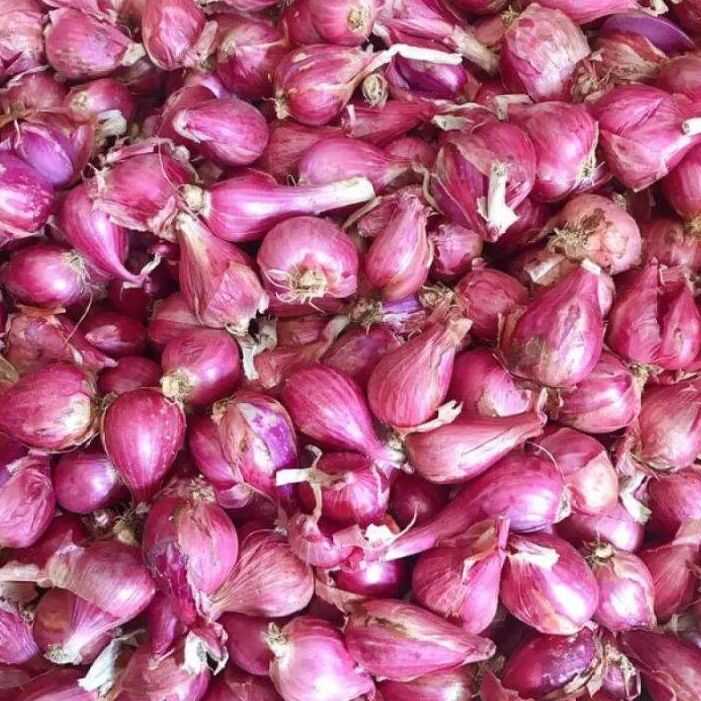 hành tím Lý Sơn 1000g