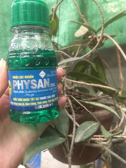 Physan lạnh mới 100ml