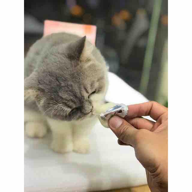 Pudding thạch sữa dê bổ sung canxi cho mèo gói 225g ( 15 viên)