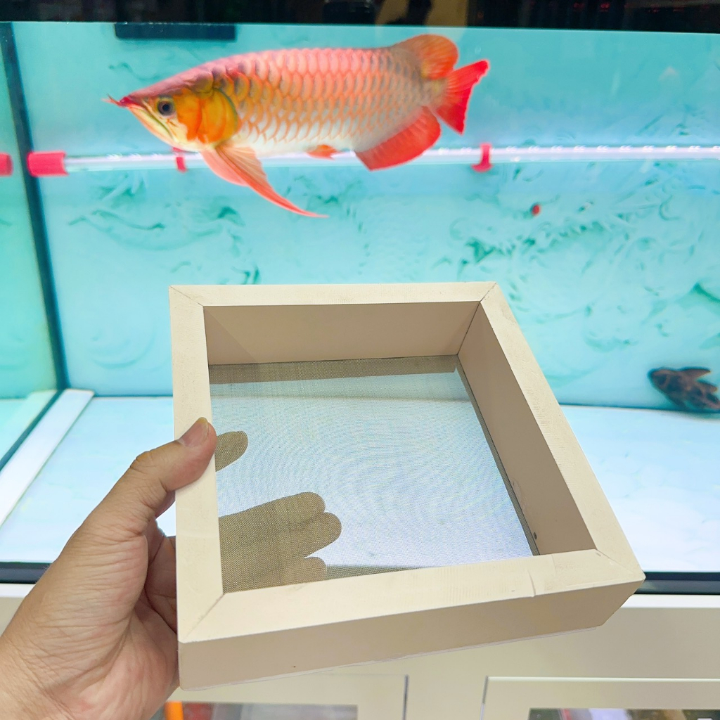 "hoàn tiền đến 10%" khay tách phân hồ cá chất liệu nhựa dày 3cm 4cm, khay hứng phân, khay lọc cặn bẩn bể cá, lưới inox 304