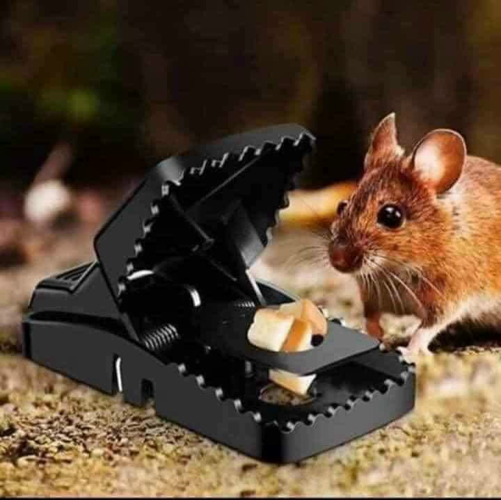 Bẫy chuột kẹp nhựa siêu nhạy