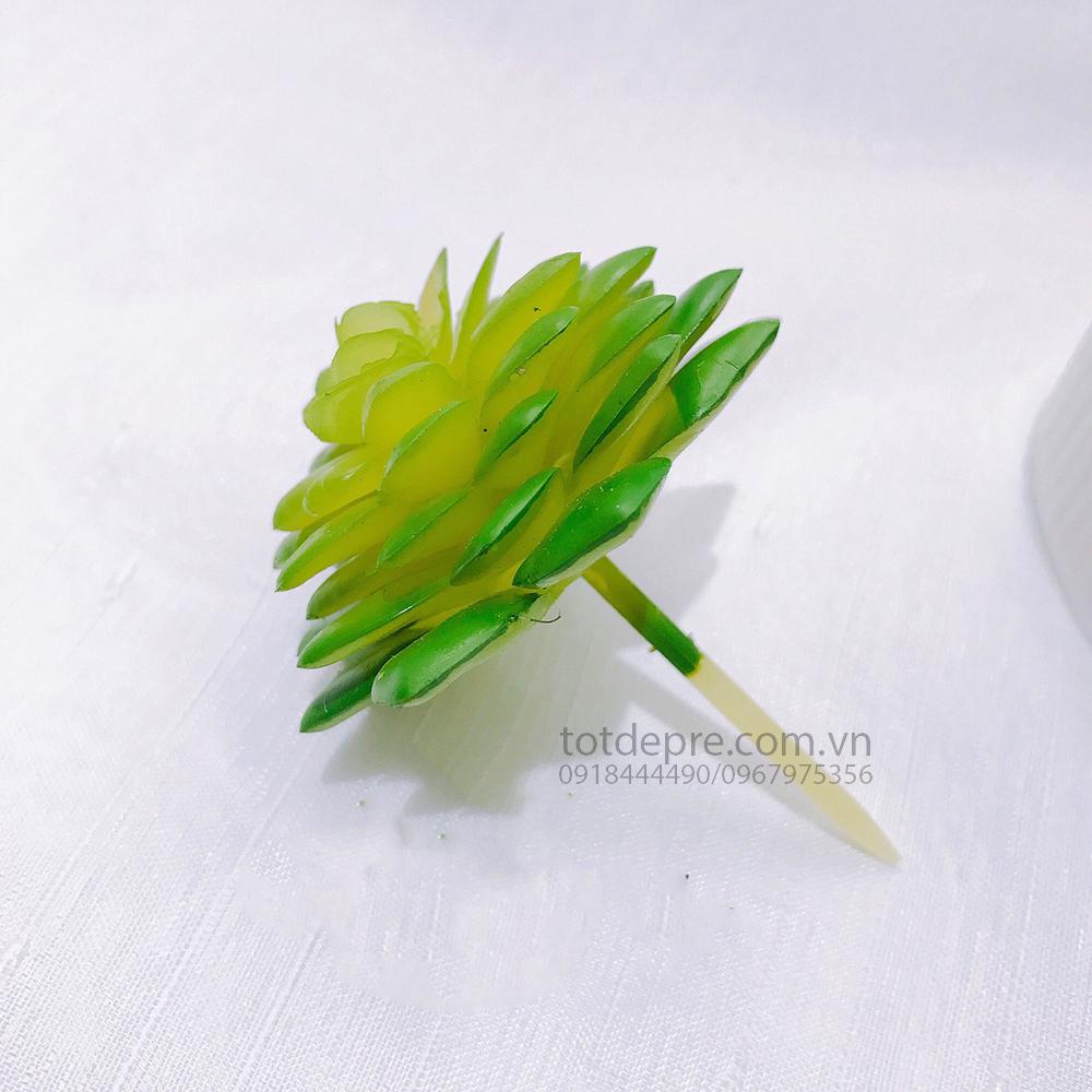 Cây Xương Rồng - Cây giả ms61