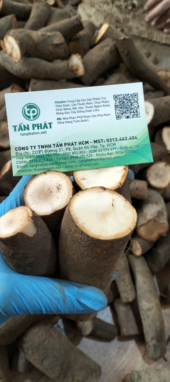Củ gai tươi an thai 500g - tấn phát