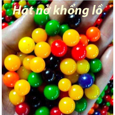HẠT NỞ KHỔNG LỒ TÚI 50/100/150/200 viên