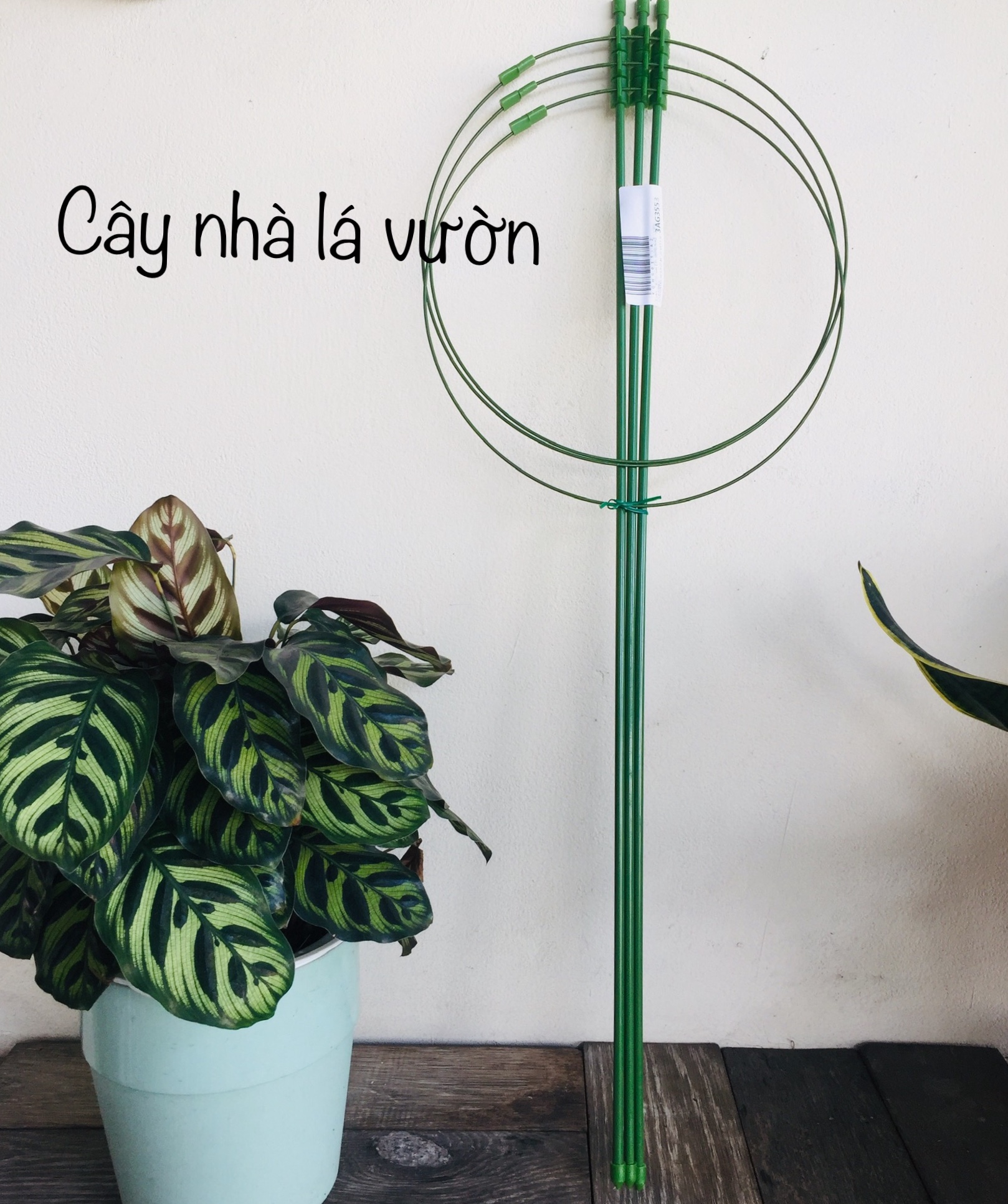 Khung đỡ hoa hồng, dây leo 70/90cm