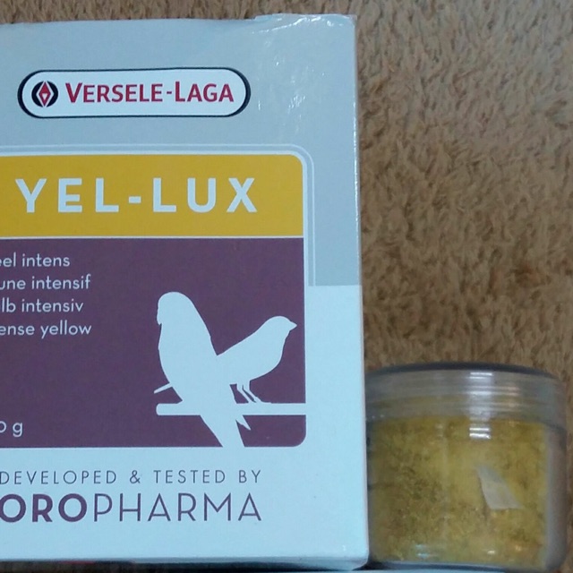[HCM]Bột lên màu cho Hoàng yến hũ 20g