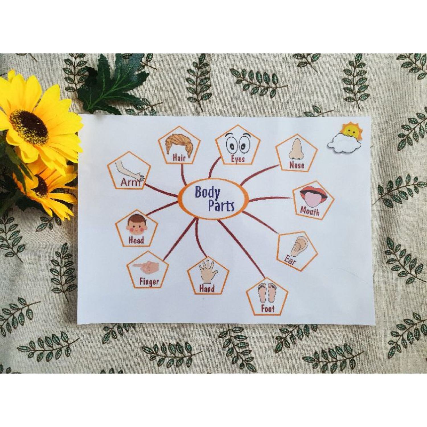 [ Bóc Dán Maru] Mindmap 15 Chủ Đề~ Sơ Đồ Tư Duy Cho Bé Part 2