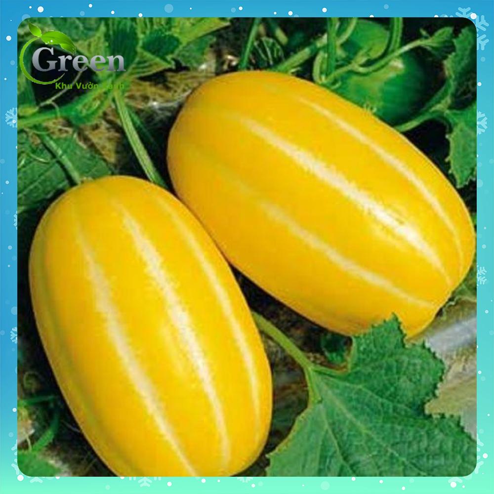 Hạt Giống Dưa Gang Cao Sản Trái Dài, Trồng Quanh Năm (Gói 1 gam ~ 50 hạt)