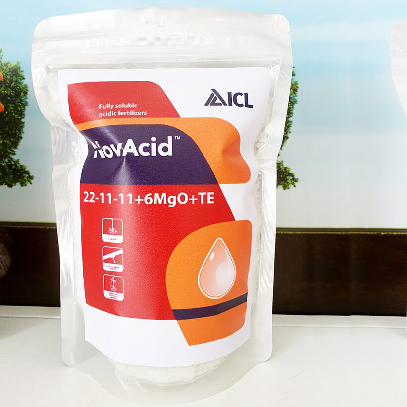 [HCMC] Israel NPK novacid 22-11-11 + 6mgo + te soluble fertilizer (pack 25kg) helps to encourage fleshiness seeds to increase fruit enlargement through a plant growth and spray on leaves