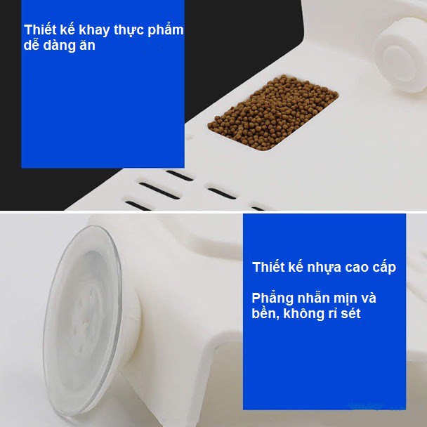 Bệ phơi nắng cho rùa