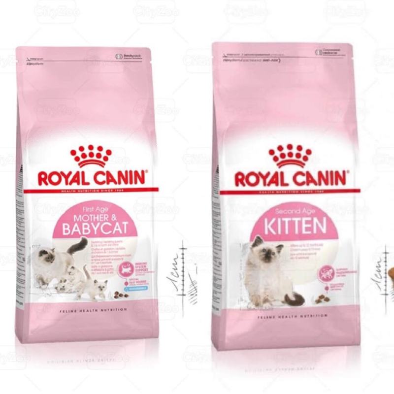 Royal baby mother/kitten 2kg