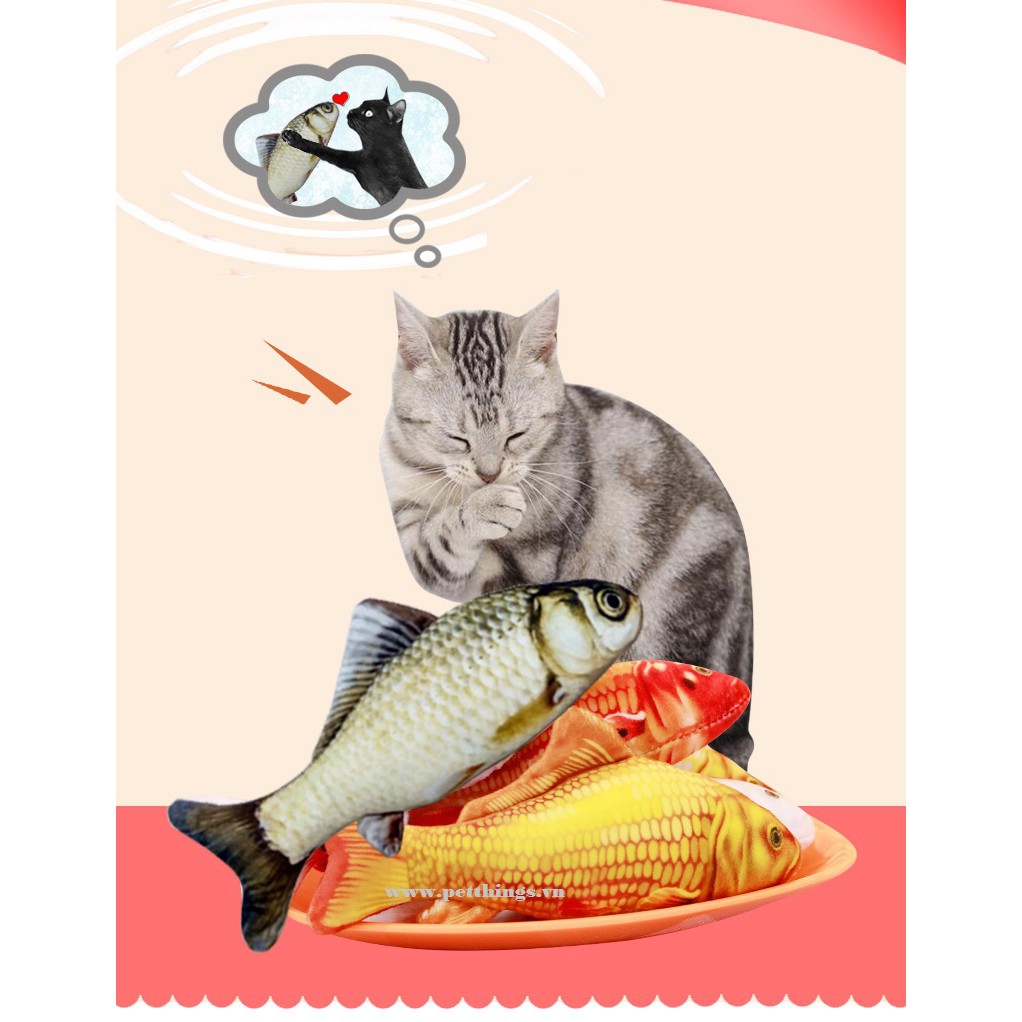 Cá Nhồi Catnip