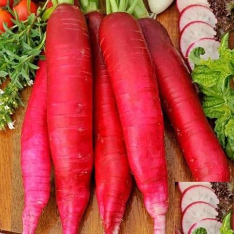 HẠT CỦ CẢI ĐỎ DÀI - GÓI 5 GRAM