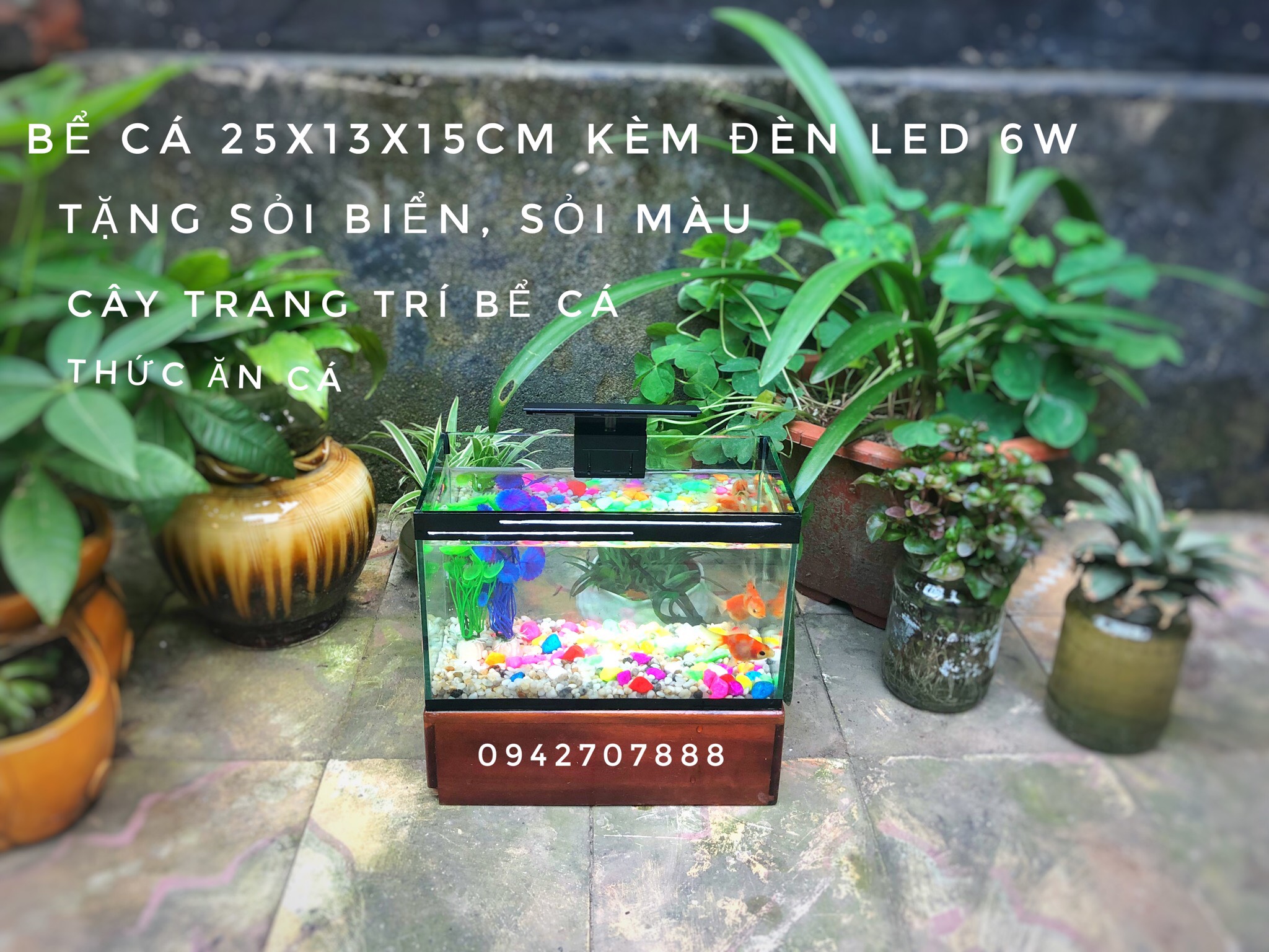 Bể cá cảnh 25x13x15cm có sẵn lọc và đèn