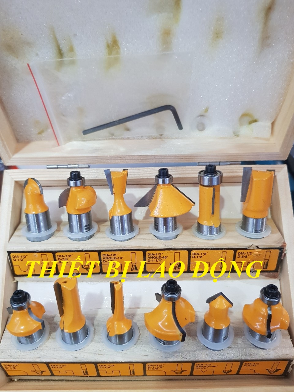 Bộ 12 mũi phay gỗ 1/2" (12.7mm)  Ingco AKRT12121