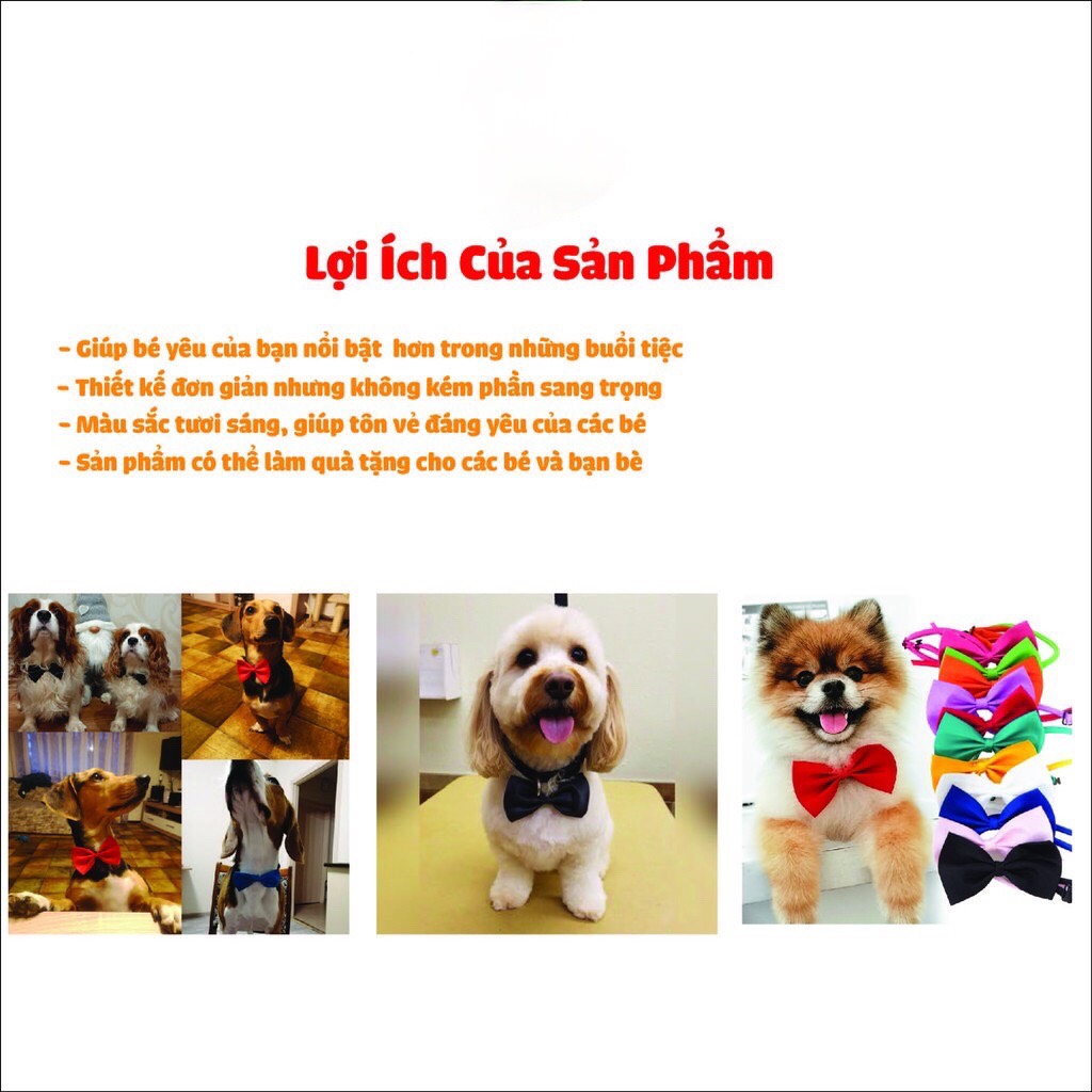 Nơ Cổ Cho Chó Mèo, vòng nơ đeo cổ cho thú cưng