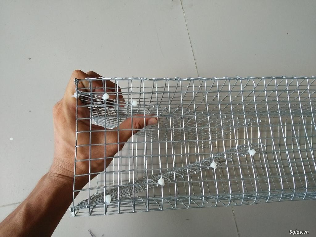 Lồng bẫy rắn