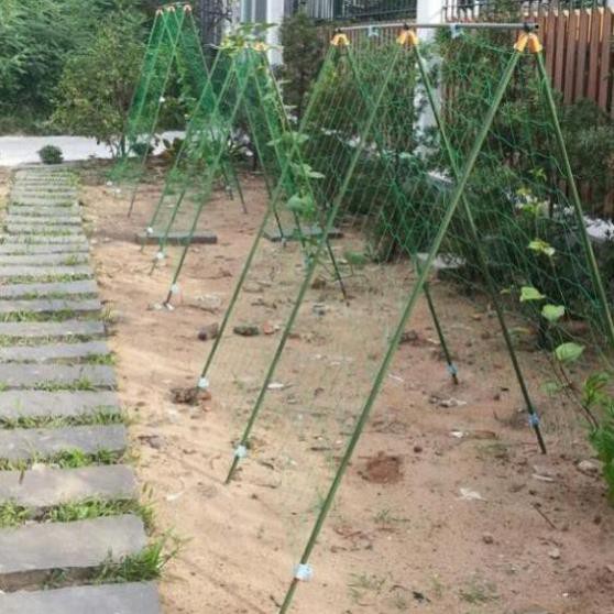 Lưới làm giàn dây leo , lưới làm giàn cây Ollie net