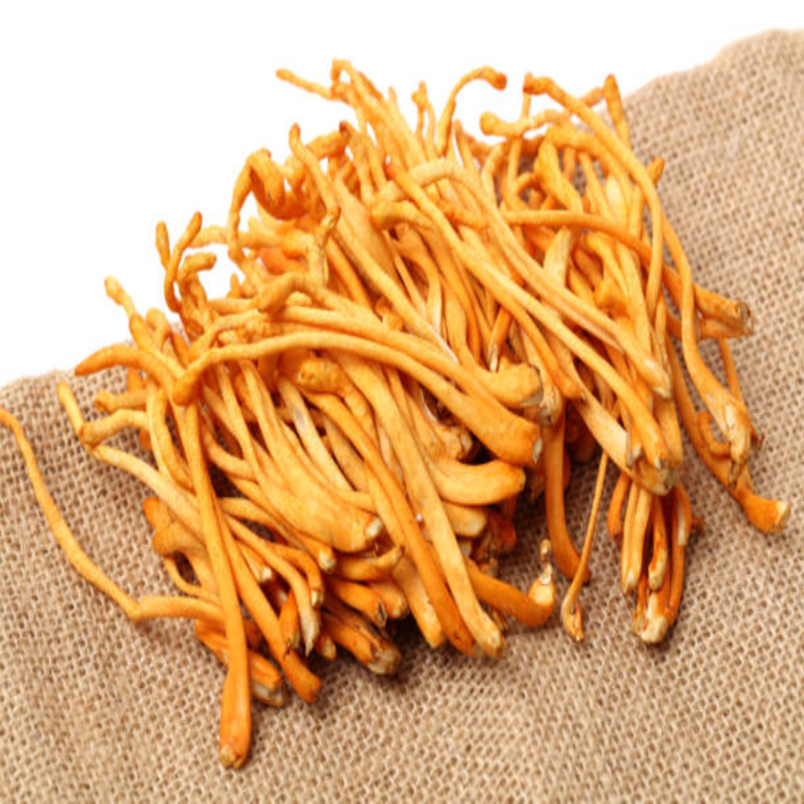 ĐÔNG TRÙNG HẠ THẢO KHÔ 0-1KG