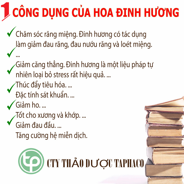 [Túi lớn loại 500gram] Nụ hoa đinh hương sấy khô - Hàng Công Ty Tấn Phát - Chuyên dùng để nấu phở và các món ăn thơm ngon