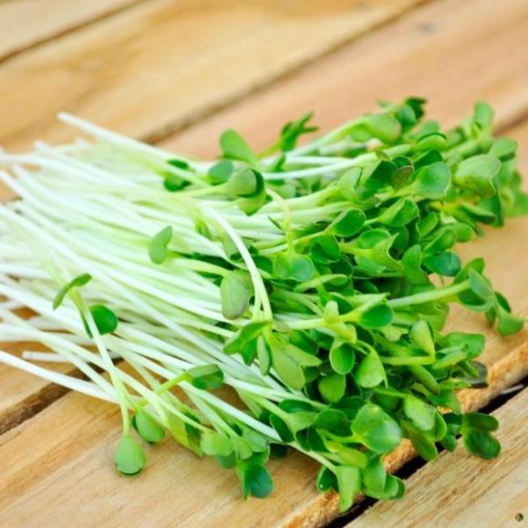 Dinh Dưỡng Pha Dung Dịch Thủy Canh Dạng Bột TC-MoBi 100g