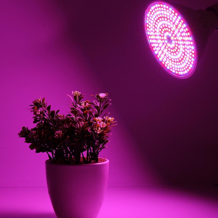 Đèn Trồng Cây 60 Led Chuôi E27 2 Màu