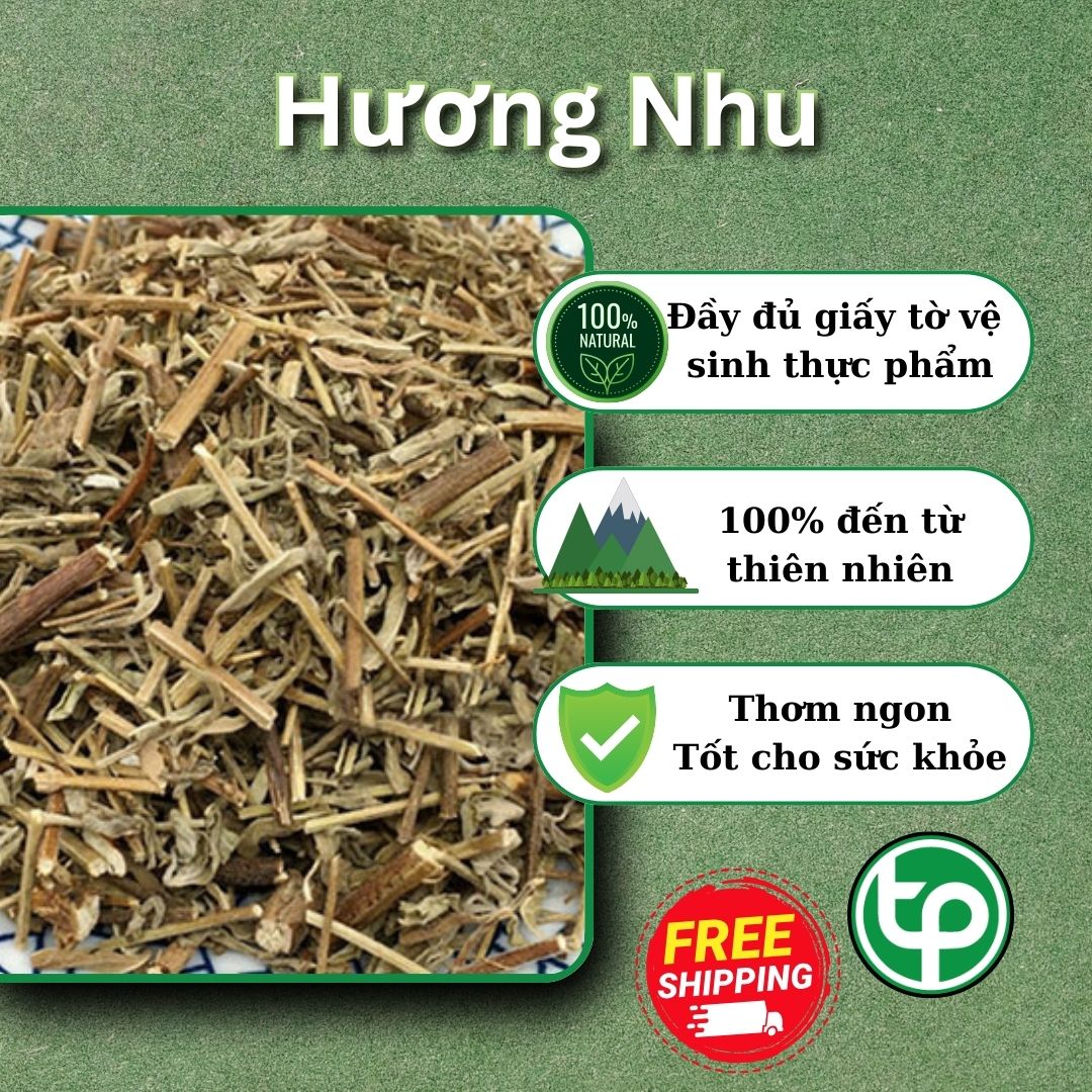 Hương nhu khô 1kg - Túi lớn hàng sạch, xanh chất lượng cao - Hỗ trợ thanh nhiệt và giải độc - Thảo Dược Tấn Phát