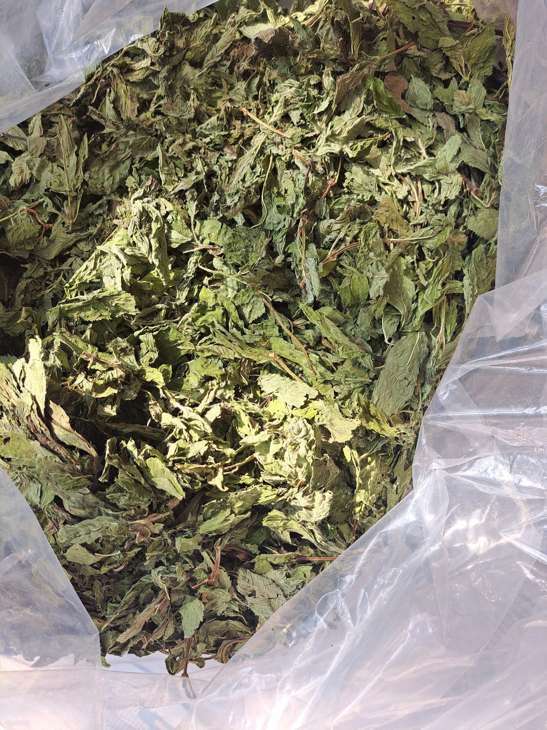 Dried mint 100gram