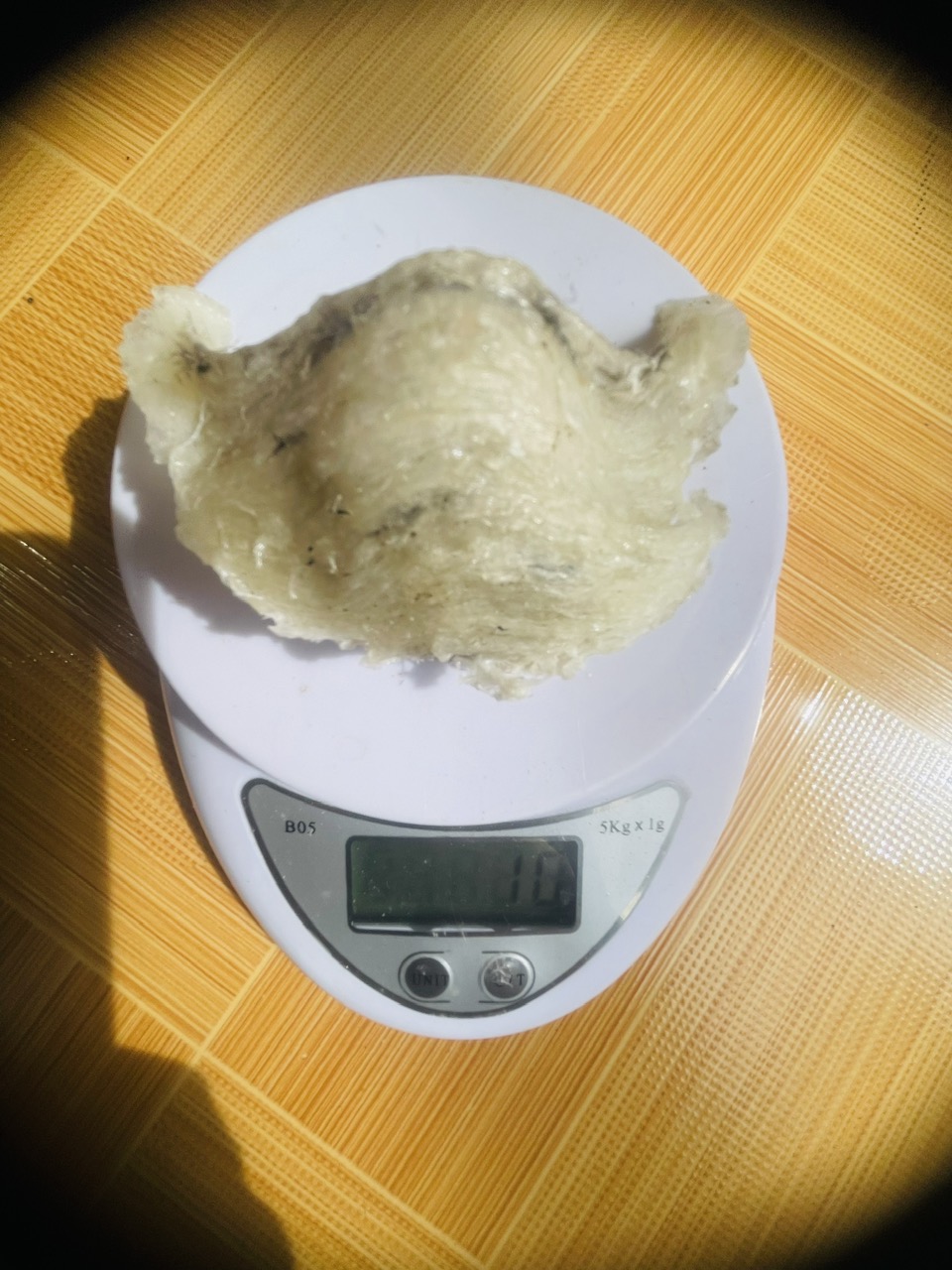 Tổ Yến thô nguyên chất